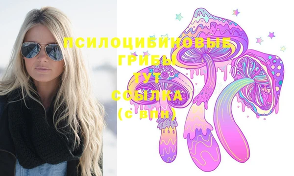 трава Карпинск